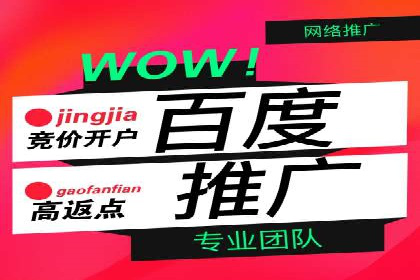 SEM运营公司成功案例解析